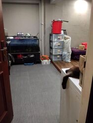Blk 339 Hougang Avenue 7 (Hougang), HDB 5 Rooms #625969381